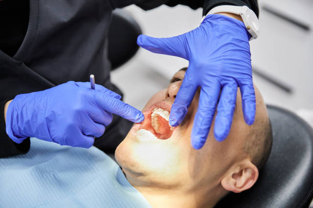 Best Urgent Dental Care in Fowler, MI